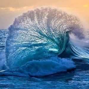 Meet your Posher, Marlene